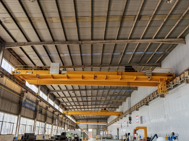 NLH 30 ton overhead crane